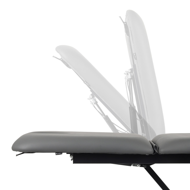eng-pl-fortis-2-massage-table-electric-adjustment-hand-remote-control-head-cushion-2343-6.jpg