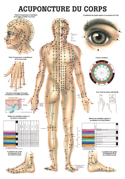 L'ACUPUNCTURE DU CORPS